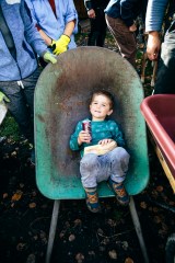 Child in wheel barrel