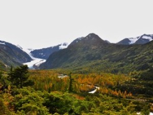 Green Alaska mountain area
