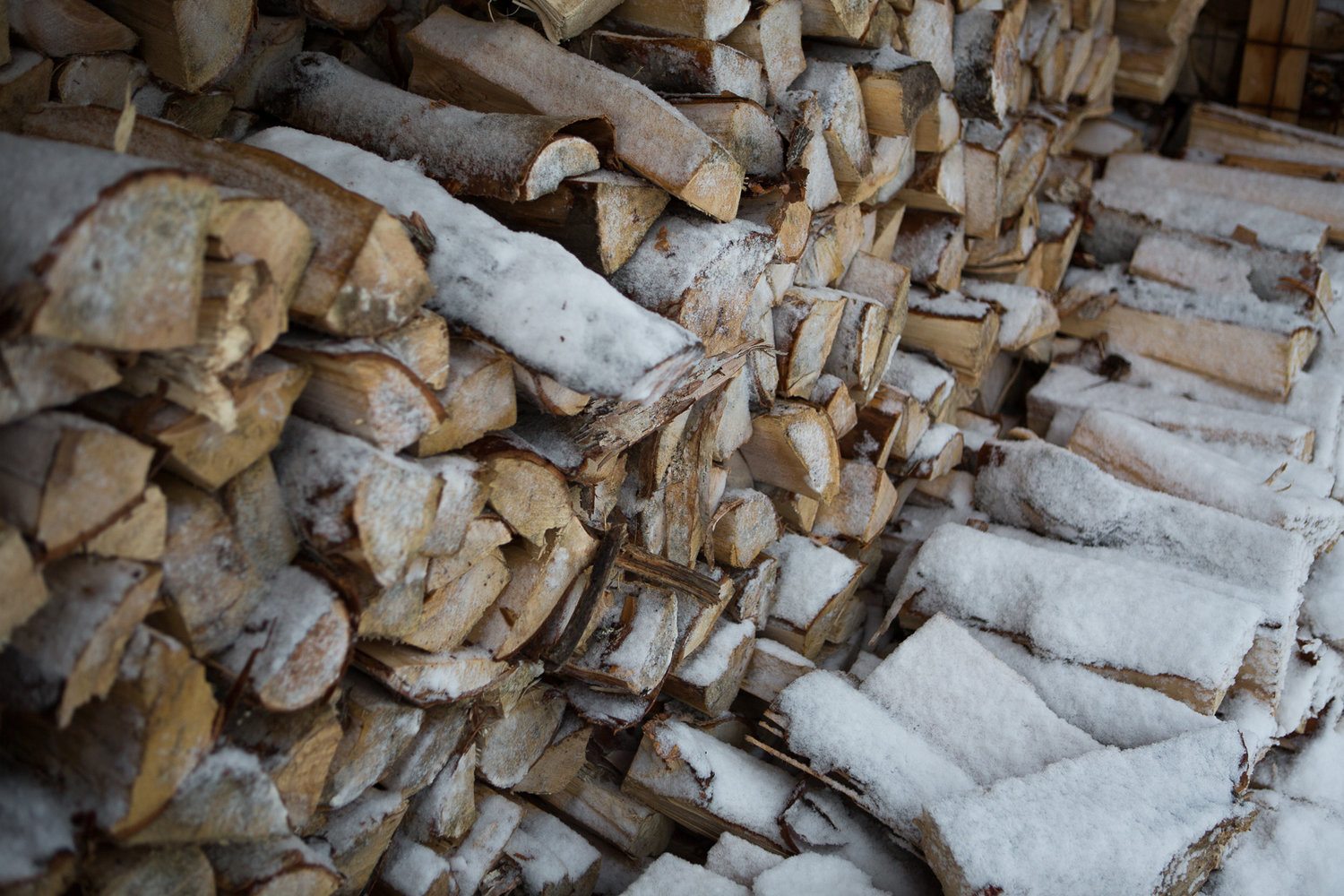 MF201701260011 wood log piles