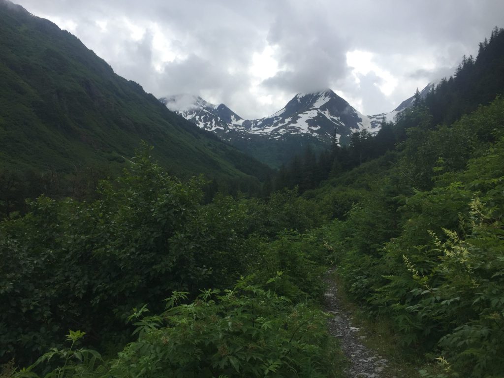 a view of the side of a mountain