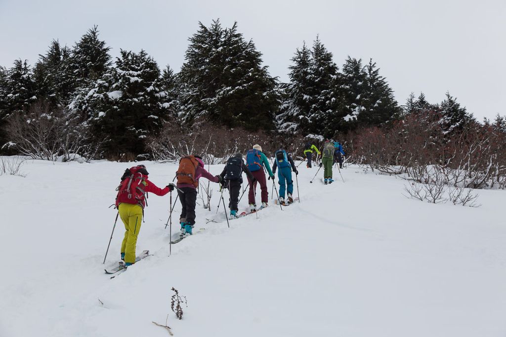a group of people cross country skiing in the snow