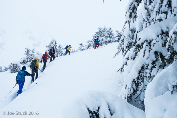 a group of people riding skis down a snow covered slope