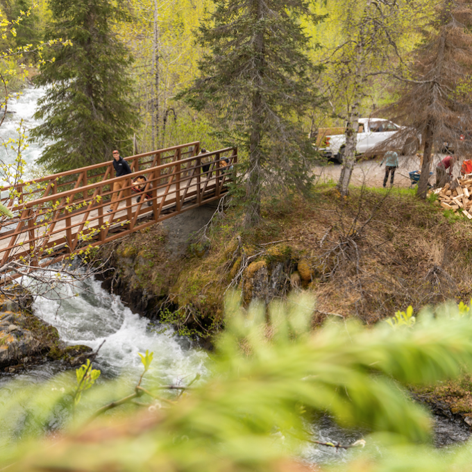 a train traveling down train tracks near a forest
