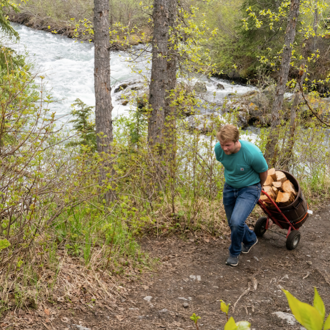 a person sitting in a tree